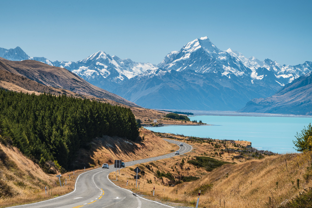 NZ