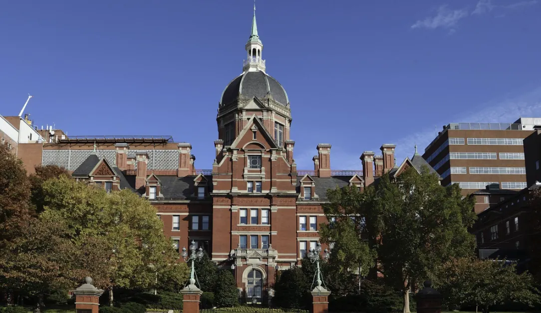 New York University